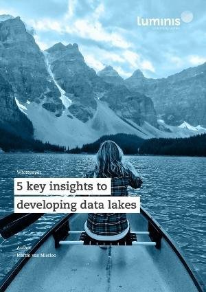 White paper Data lakes
