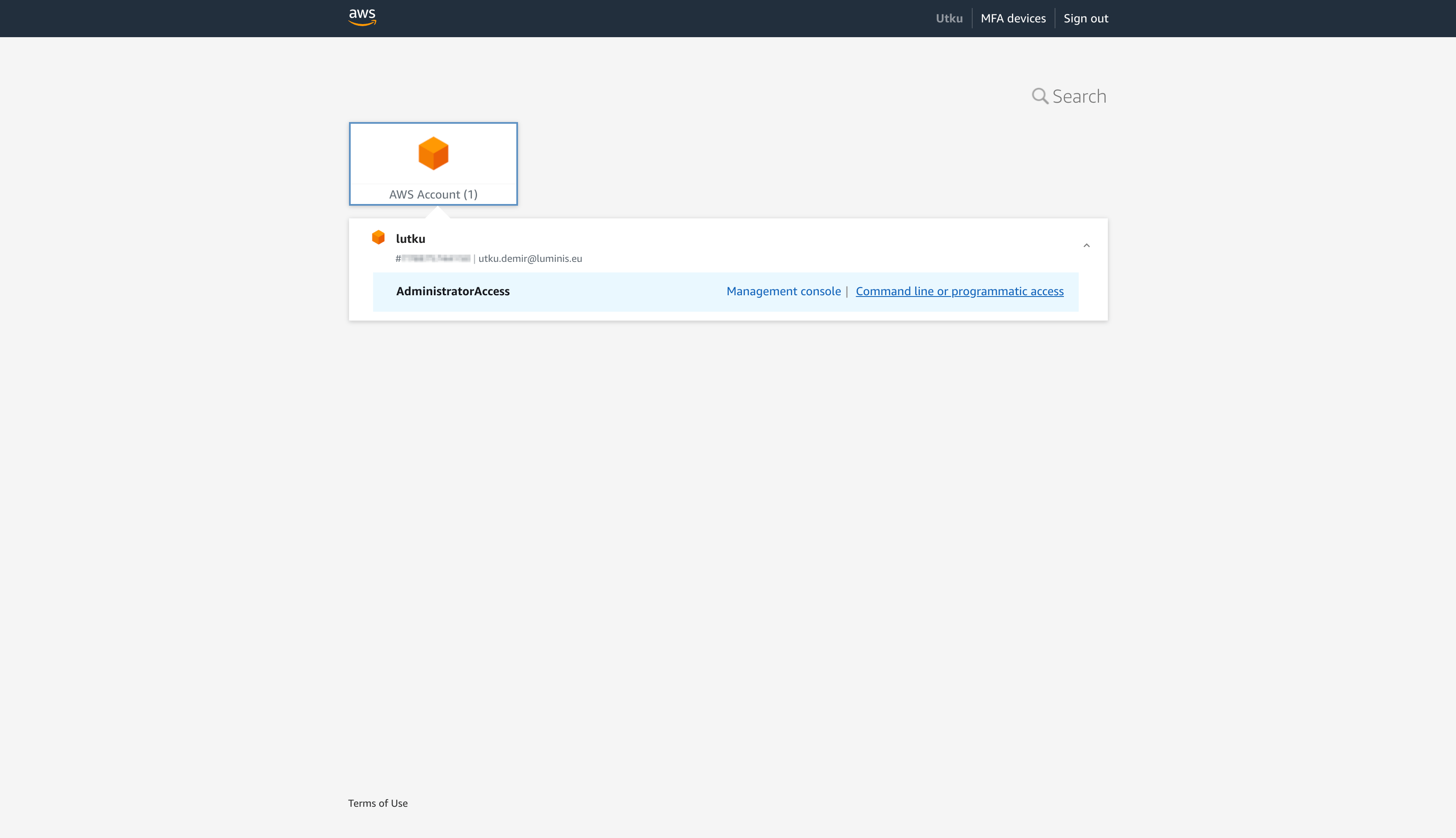 AWS Access Portal Accounts Page with management account only