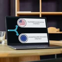 Data strategy Europe vs US